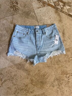 Pacsun size 29 shorts new!!!